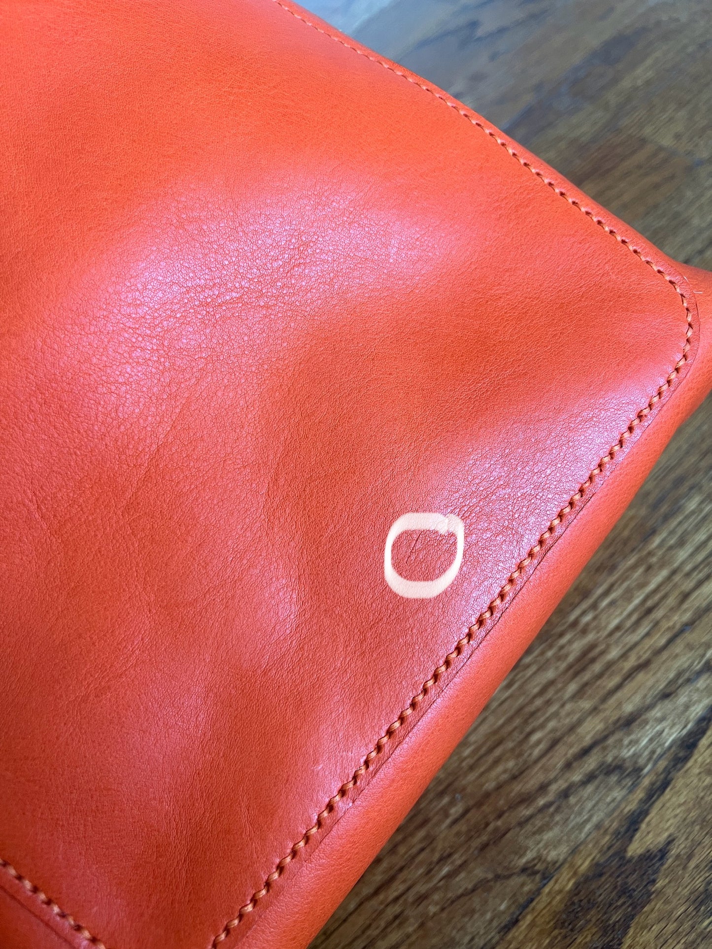 Small scar/hide mark